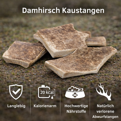 Kaustange vom Damhirsch-Hundespielzeug-Wildfang-