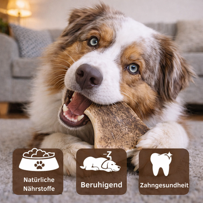 Kaustange vom Damhirsch-Hundespielzeug-Wildfang-