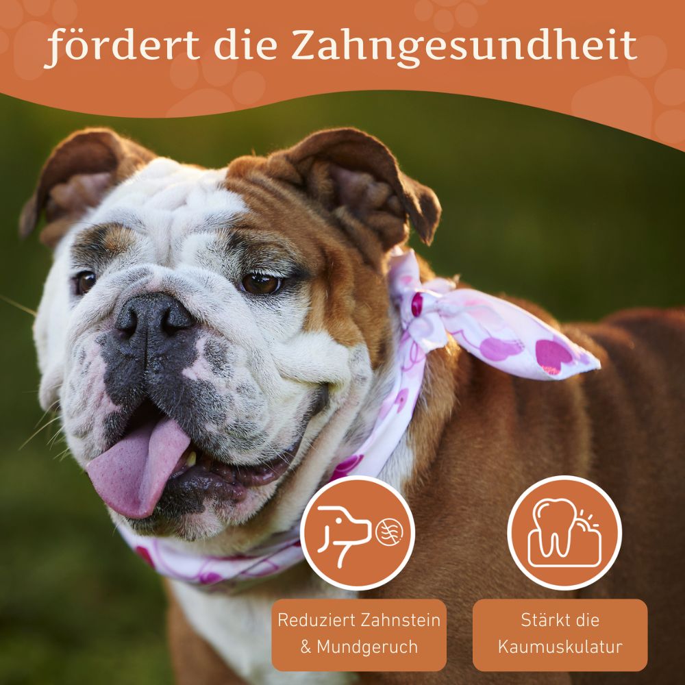 Kauwurzel aus Baumheide - 3er Set-Hundespielzeug-Wildfang-