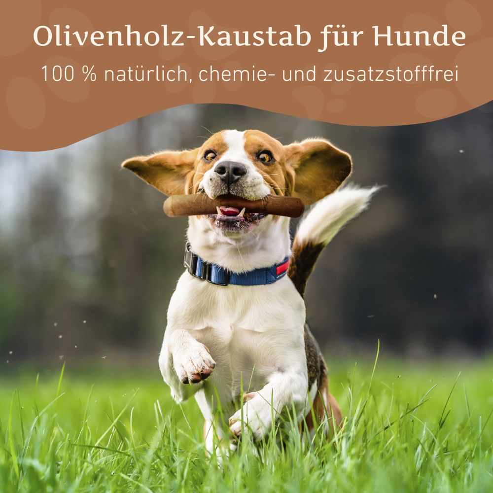 Olivenholz Kaustab - 3er Set-Hundespielzeug-Wildfang-