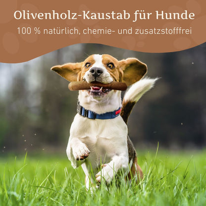 Olivenholz Kaustab - 3er Set-Hundespielzeug-Wildfang-