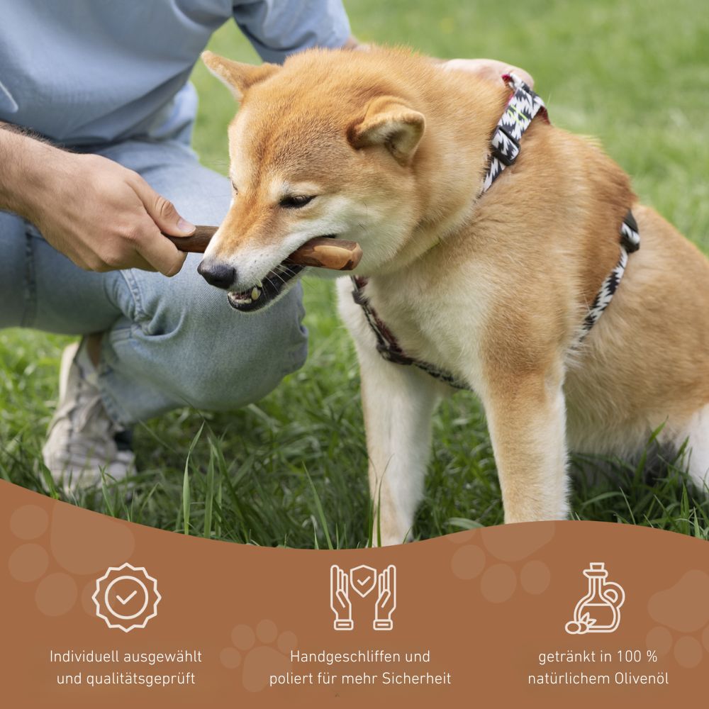 Olivenholz Kaustab - 3er Set-Hundespielzeug-Wildfang-