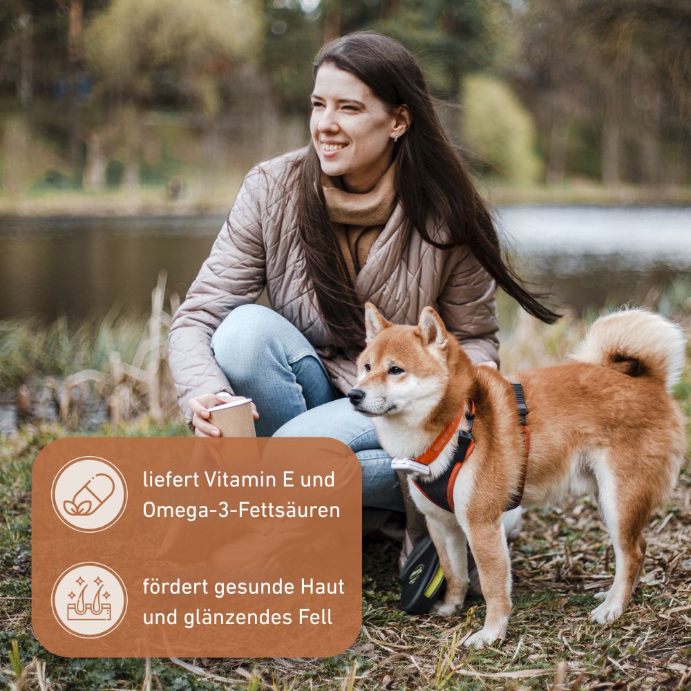 Olivenholz Kaustab - 3er Set-Hundespielzeug-Wildfang-