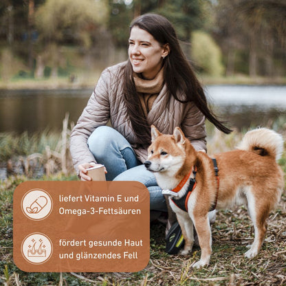 Olivenholz Kaustab - 3er Set-Hundespielzeug-Wildfang-