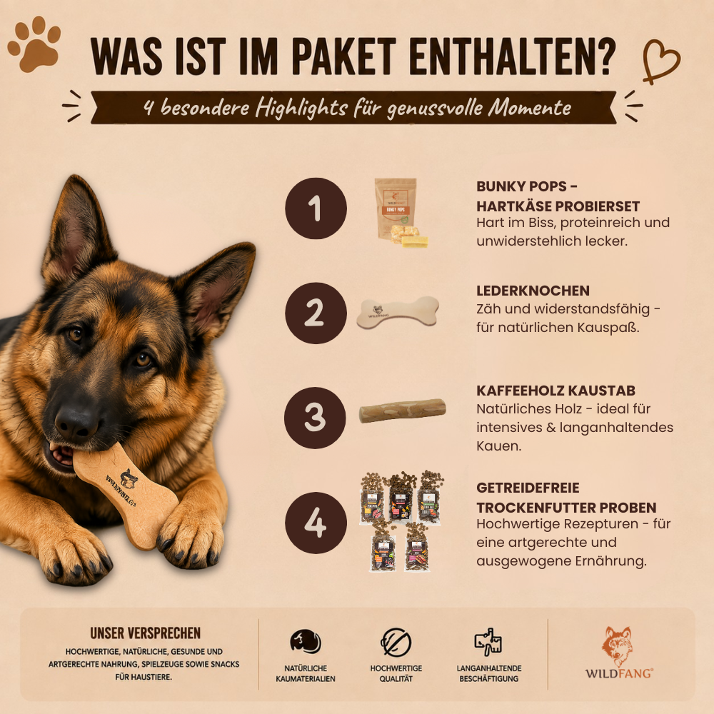 Paket "Feinschmecker"-Hundespielzeug-Wildfang-