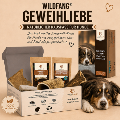 Paket "Geweihliebe"-Hundespielzeug-Wildfang-