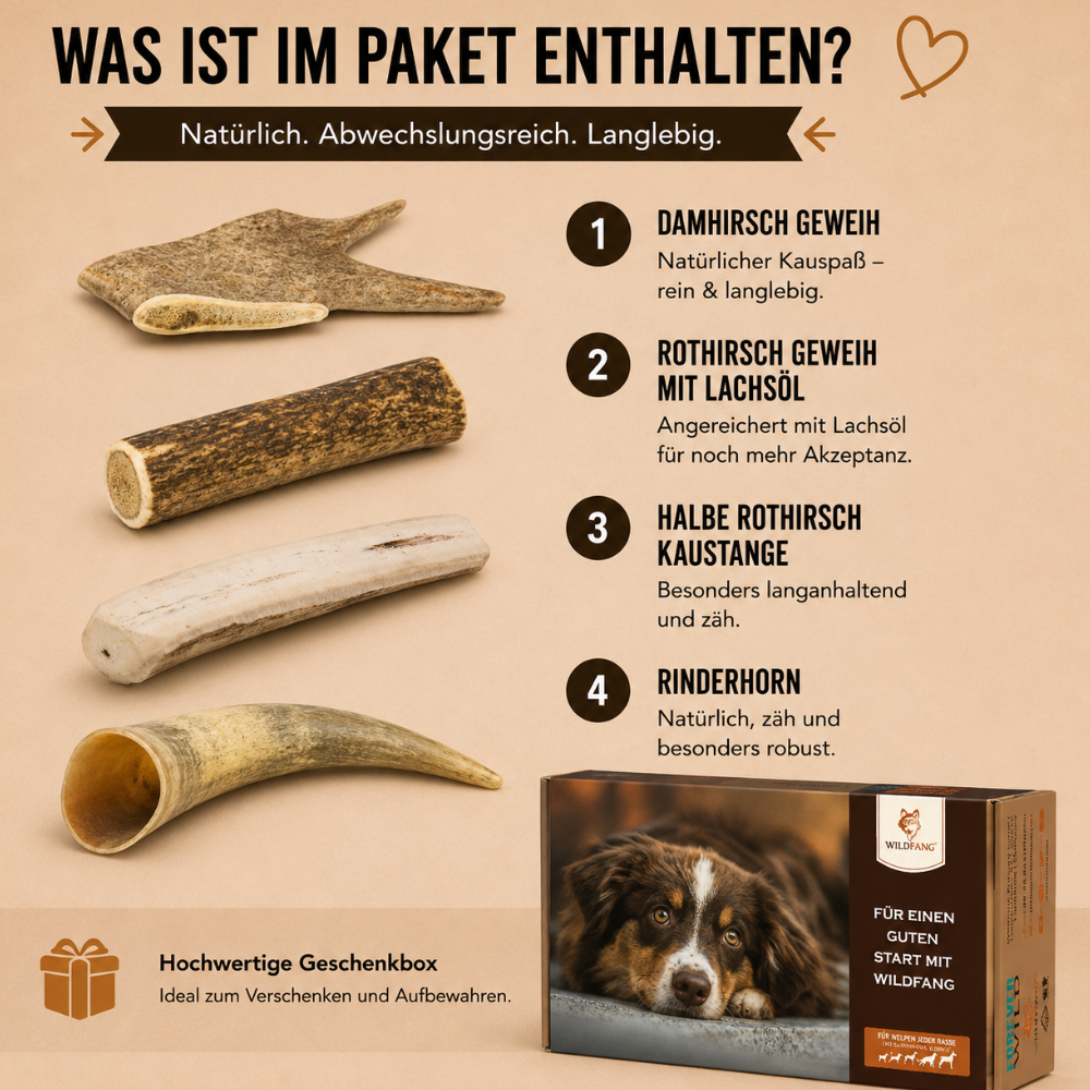 Paket "Geweihliebe"-Hundespielzeug-Wildfang-