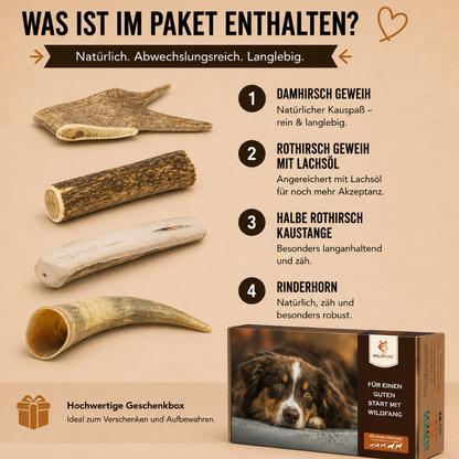 Paket "Geweihliebe"-Hundespielzeug-Wildfang-