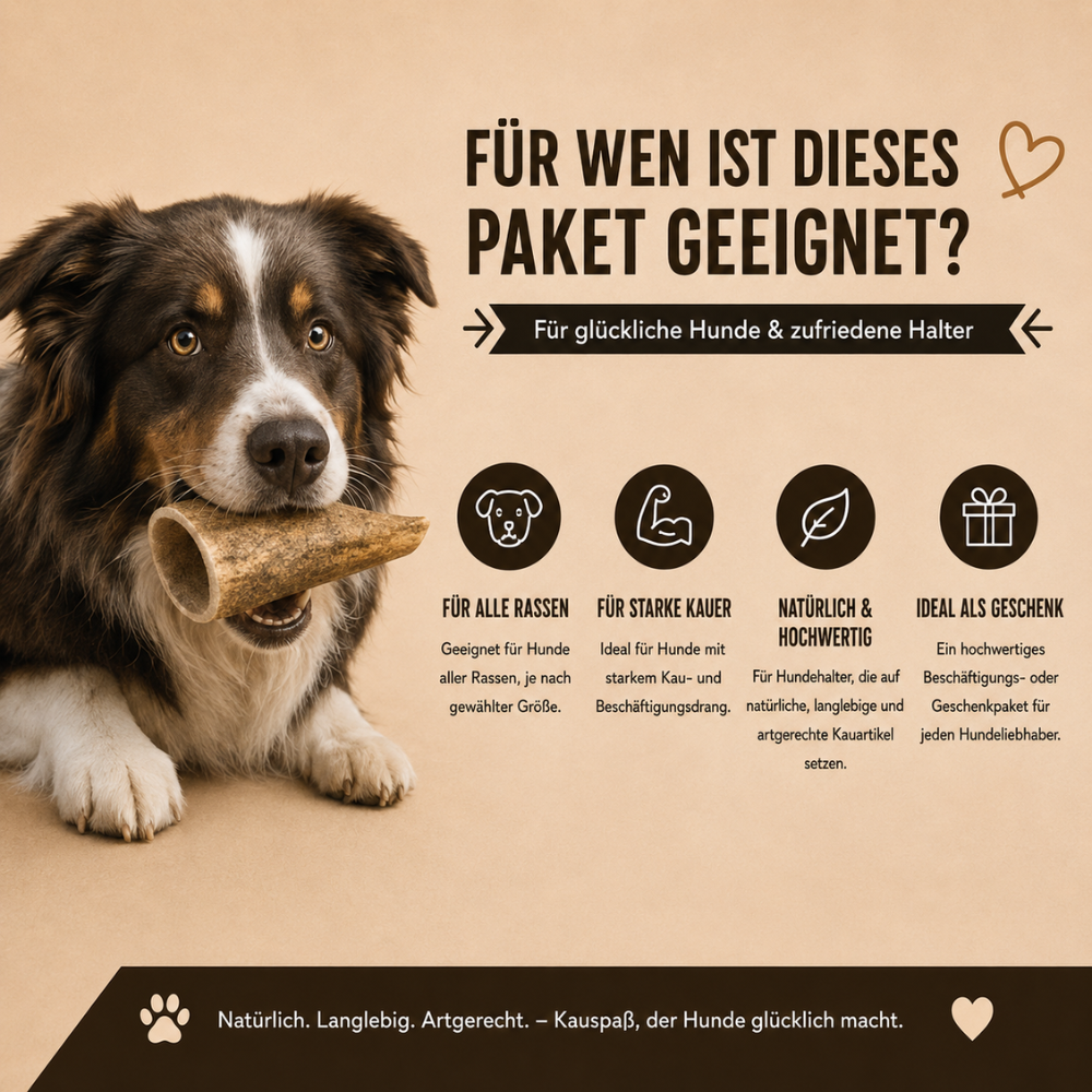 Paket "Geweihliebe"-Hundespielzeug-Wildfang-