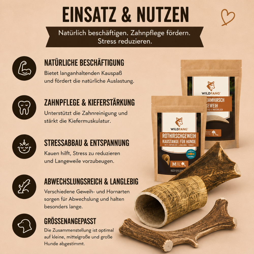 Paket "Geweihliebe"-Hundespielzeug-Wildfang-