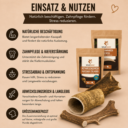 Paket "Geweihliebe"-Hundespielzeug-Wildfang-