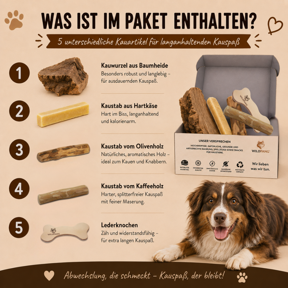 Paket "Kauspaß"-Hundespielzeug-Wildfang-