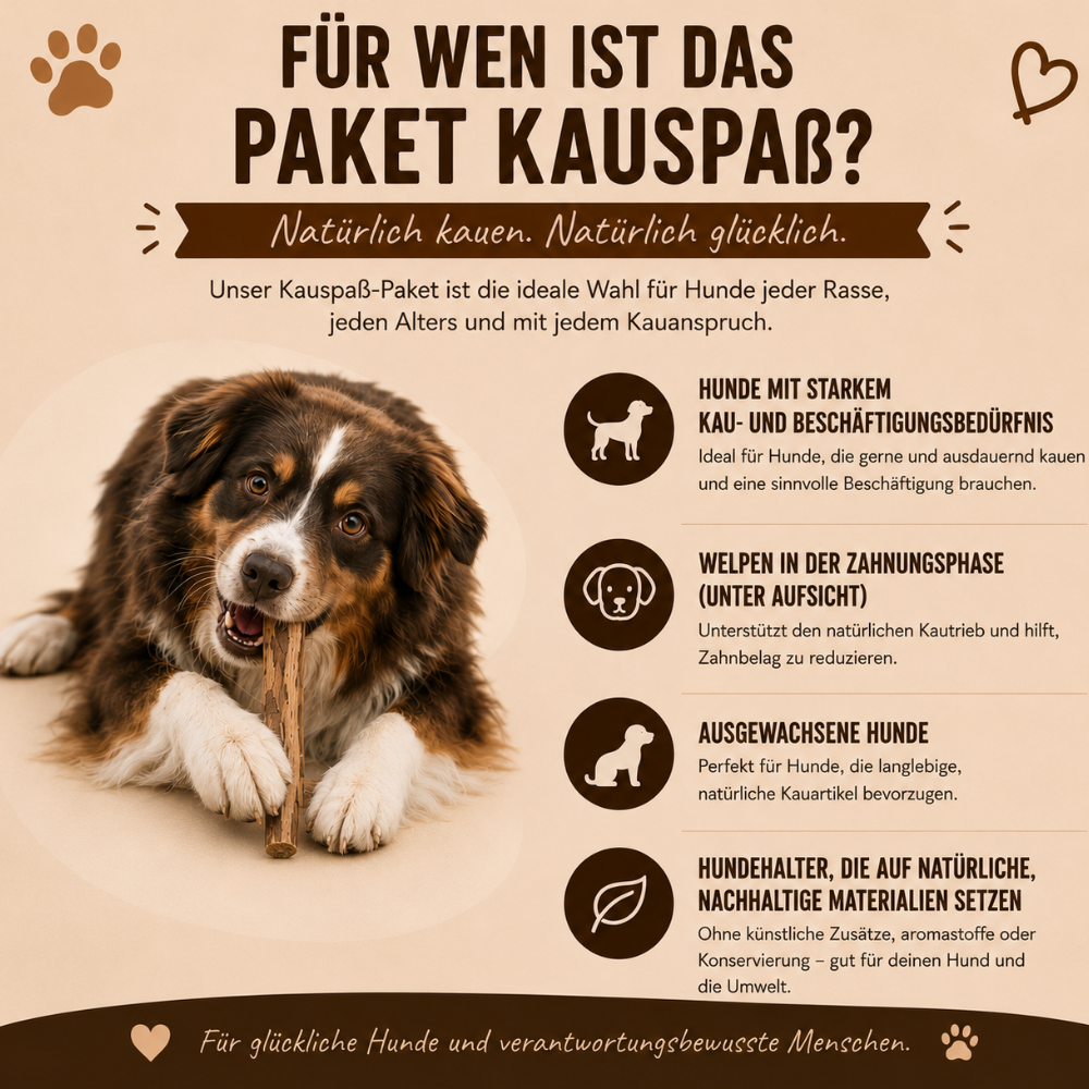 Paket "Kauspaß"-Hundespielzeug-Wildfang-