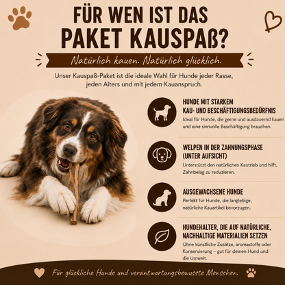 Paket "Kauspaß"-Hundespielzeug-Wildfang-