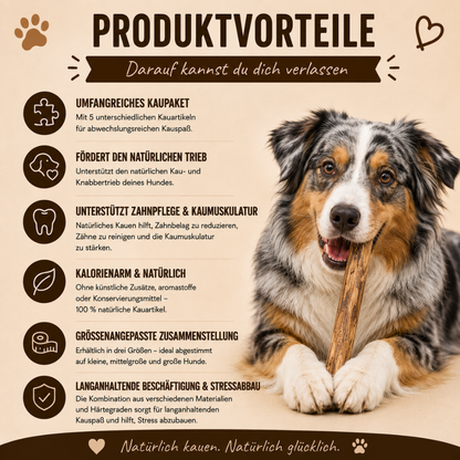 Paket "Kauspaß"-Hundespielzeug-Wildfang-