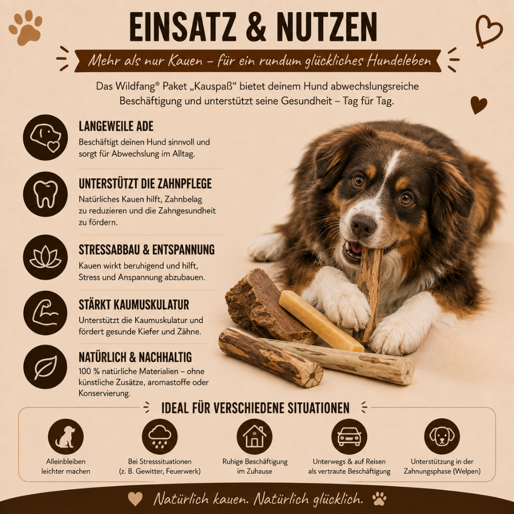 Paket "Kauspaß"-Hundespielzeug-Wildfang-