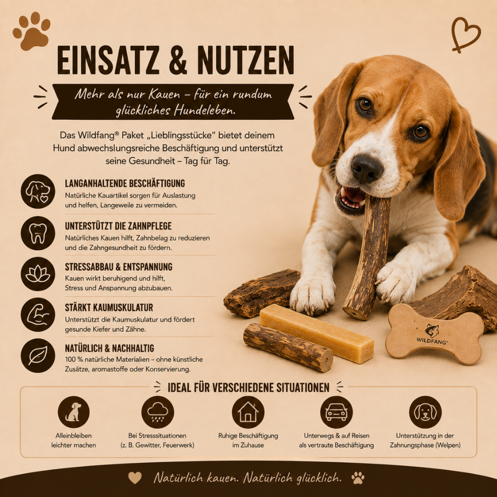 Paket "Lieblingsstücke"-Hundespielzeug-Wildfang-