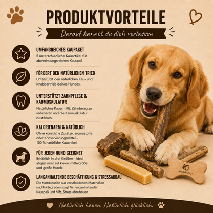 Paket "Lieblingsstücke"-Hundespielzeug-Wildfang-