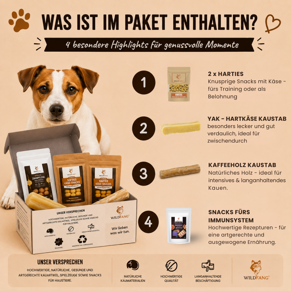Paket "Morgenstunde"-Hundespielzeug-Wildfang-