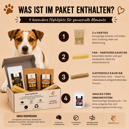 Paket "Morgenstunde"-Hundespielzeug-Wildfang-