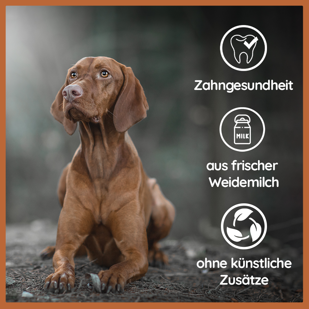 Paket "Snack gesund"-Hundespielzeug-Wildfang-
