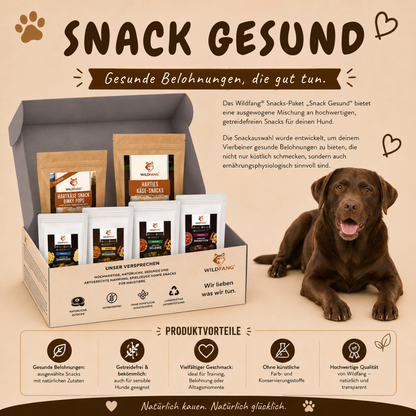 Paket "Snack gesund"-Hundespielzeug-Wildfang-