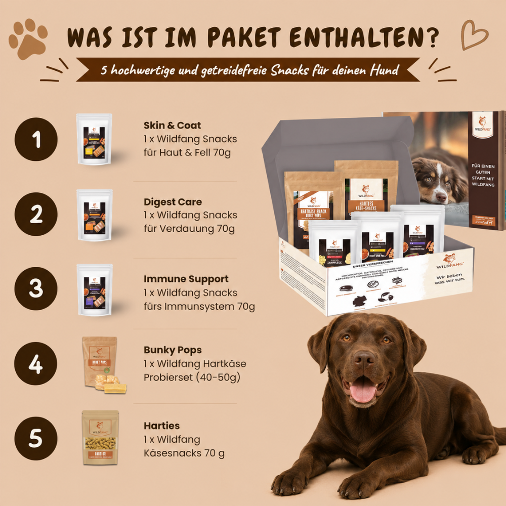 Paket "Snack gesund"-Hundespielzeug-Wildfang-