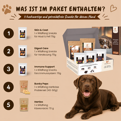 Paket "Snack gesund"-Hundespielzeug-Wildfang-