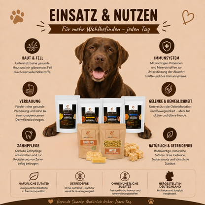Paket "Snack gesund"-Hundespielzeug-Wildfang-