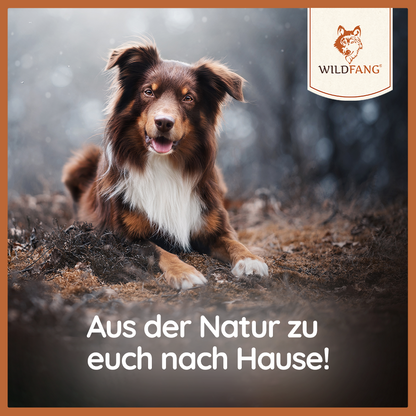 Paket "Snack gesund"-Hundespielzeug-Wildfang-