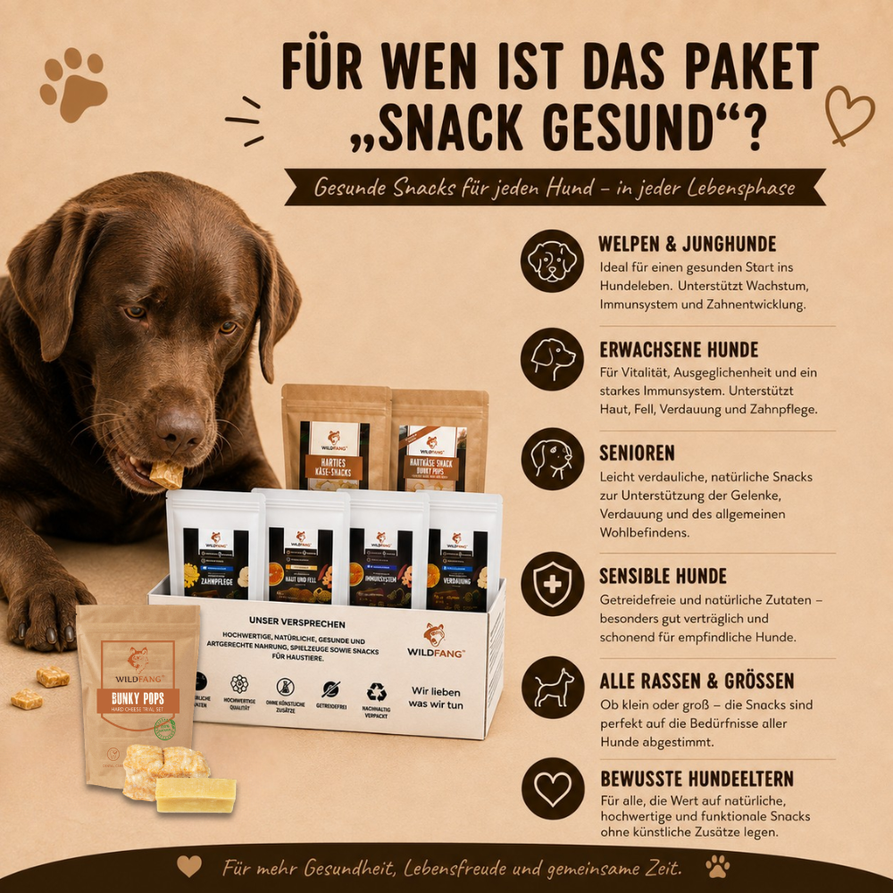 Paket "Snack gesund"-Hundespielzeug-Wildfang-