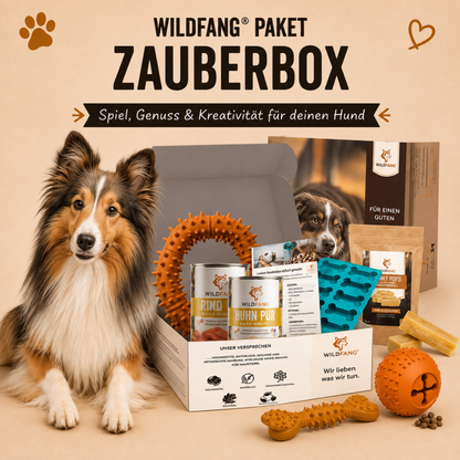 Paket "Zauberbox"-Hundespielzeug-Wildfang-