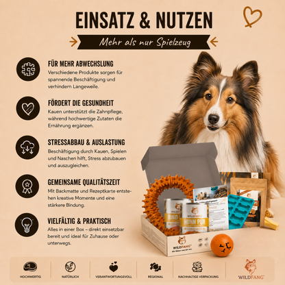 Paket "Zauberbox"-Hundespielzeug-Wildfang-