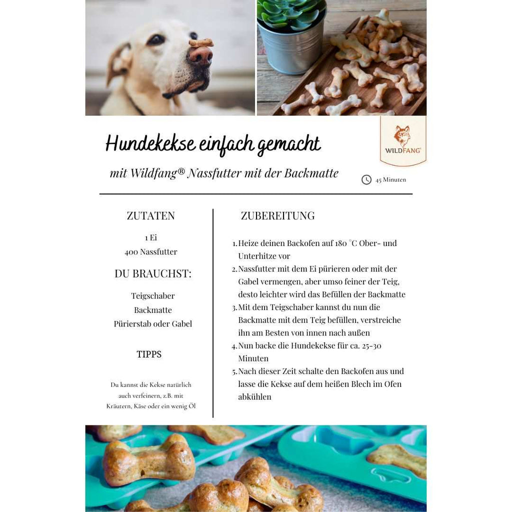 Paket "Zauberbox"-Hundespielzeug-Wildfang-