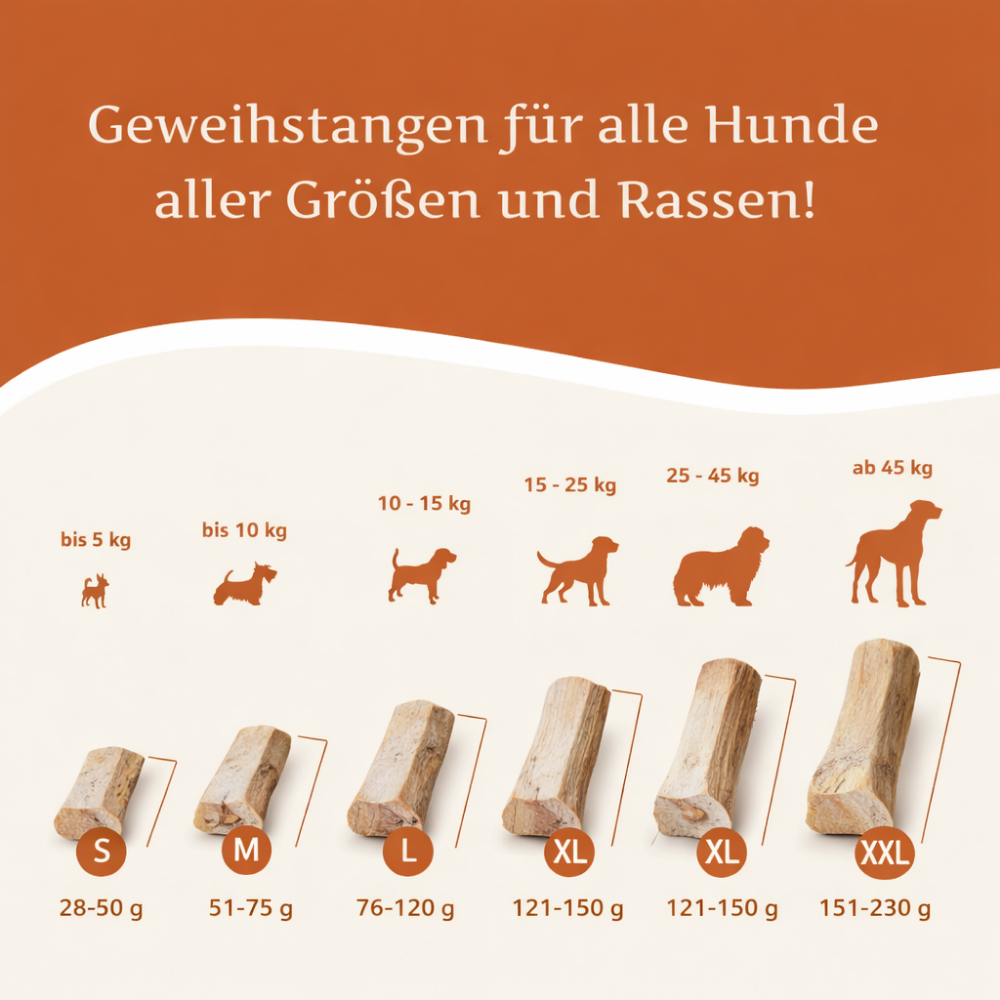 Rothirsch Kaugeweih - halbe Kaustange-Hundespielzeug-Wildfang-