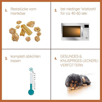 Welpen Paket "Willkommen Jungspund"-Hundespielzeug-Wildfang-