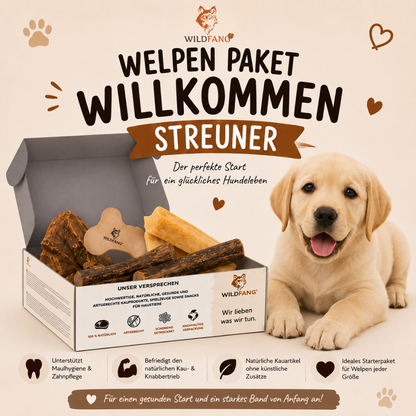 Welpen Paket "Willkommen Streuner"-Hundespielzeug-Wildfang-