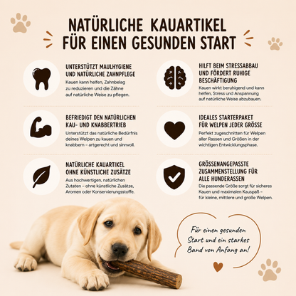 Welpen Paket "Willkommen Streuner"-Hundespielzeug-Wildfang-