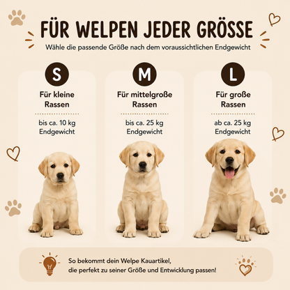 Welpen Paket "Willkommen Streuner"-Hundespielzeug-Wildfang-