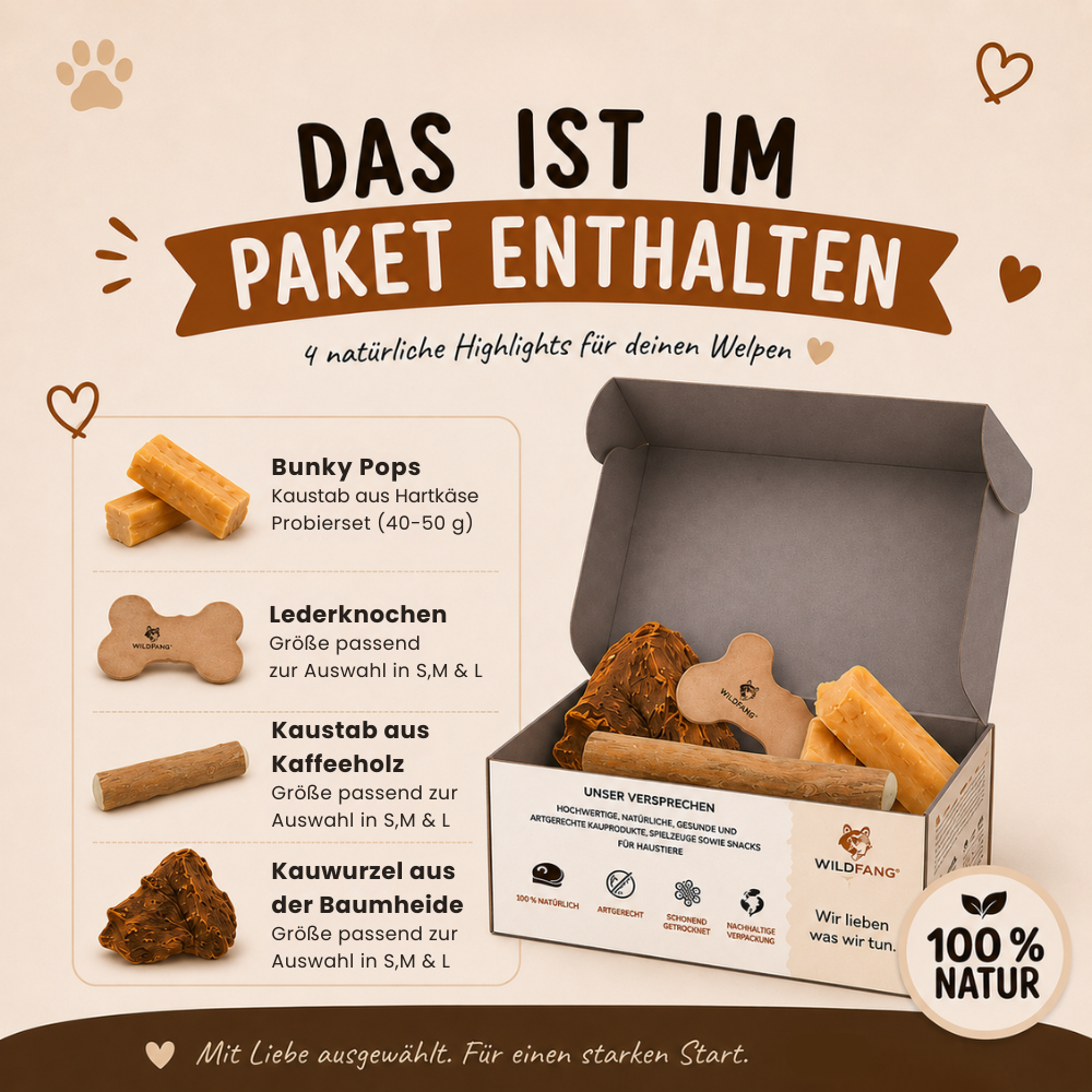 Welpen Paket "Willkommen Streuner"-Hundespielzeug-Wildfang-
