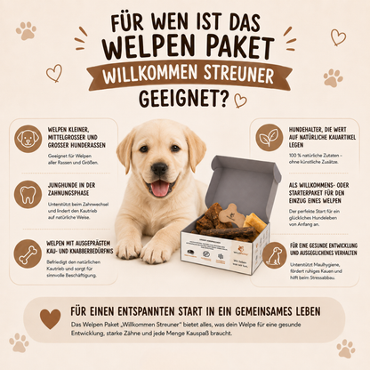Welpen Paket "Willkommen Streuner"-Hundespielzeug-Wildfang-