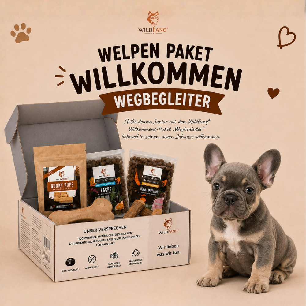 Welpen Paket "Willkommen Wegbegleiter"-Hundespielzeug-Wildfang-