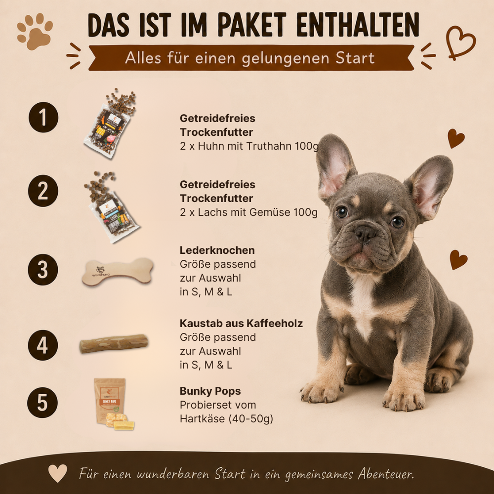 Welpen Paket "Willkommen Wegbegleiter"-Hundespielzeug-Wildfang-