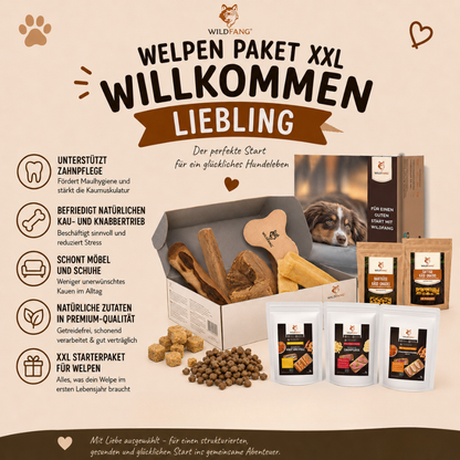 Welpen Paket XXL "Willkommen Liebling"-Hundespielzeug-Wildfang-
