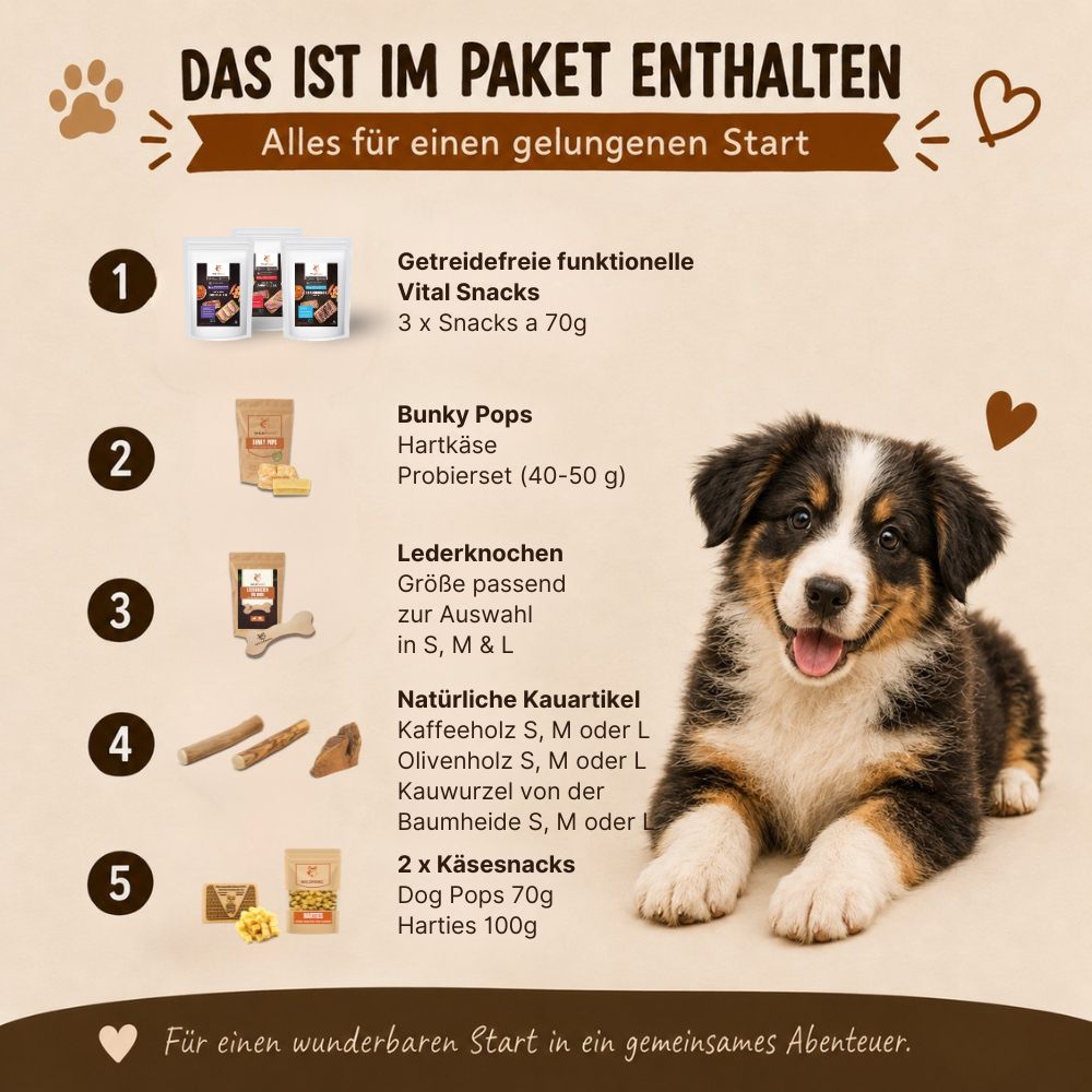 Welpen Paket XXL "Willkommen Liebling"-Hundespielzeug-Wildfang-