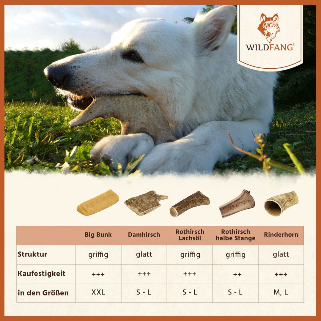 Rothirsch Kaugeweih - halbe Kaustange-Hundespielzeug-Wildfang-