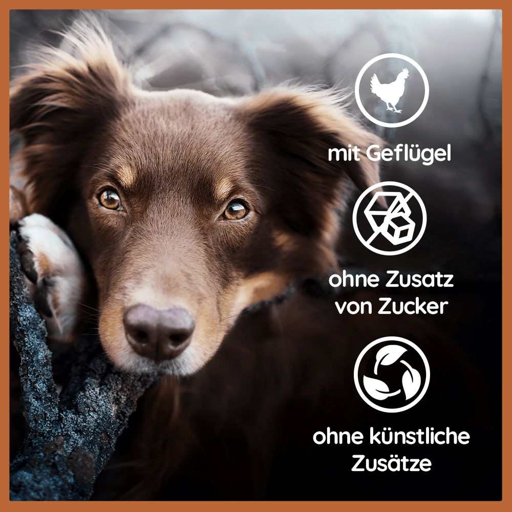 Käse Snacks Mix - Käse-Popcorn & Harties - getreidefrei-Hundefutter-Wildfang-