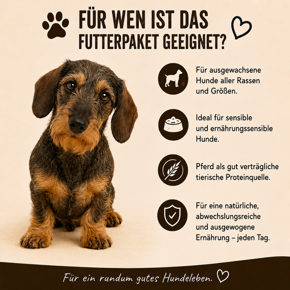 Adult Futterpaket Pferd - getreidefrei-Hundebedarf-Wildfang Petcare GmbH-