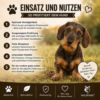 Adult Futterpaket Pferd - getreidefrei-Hundebedarf-Wildfang Petcare GmbH-