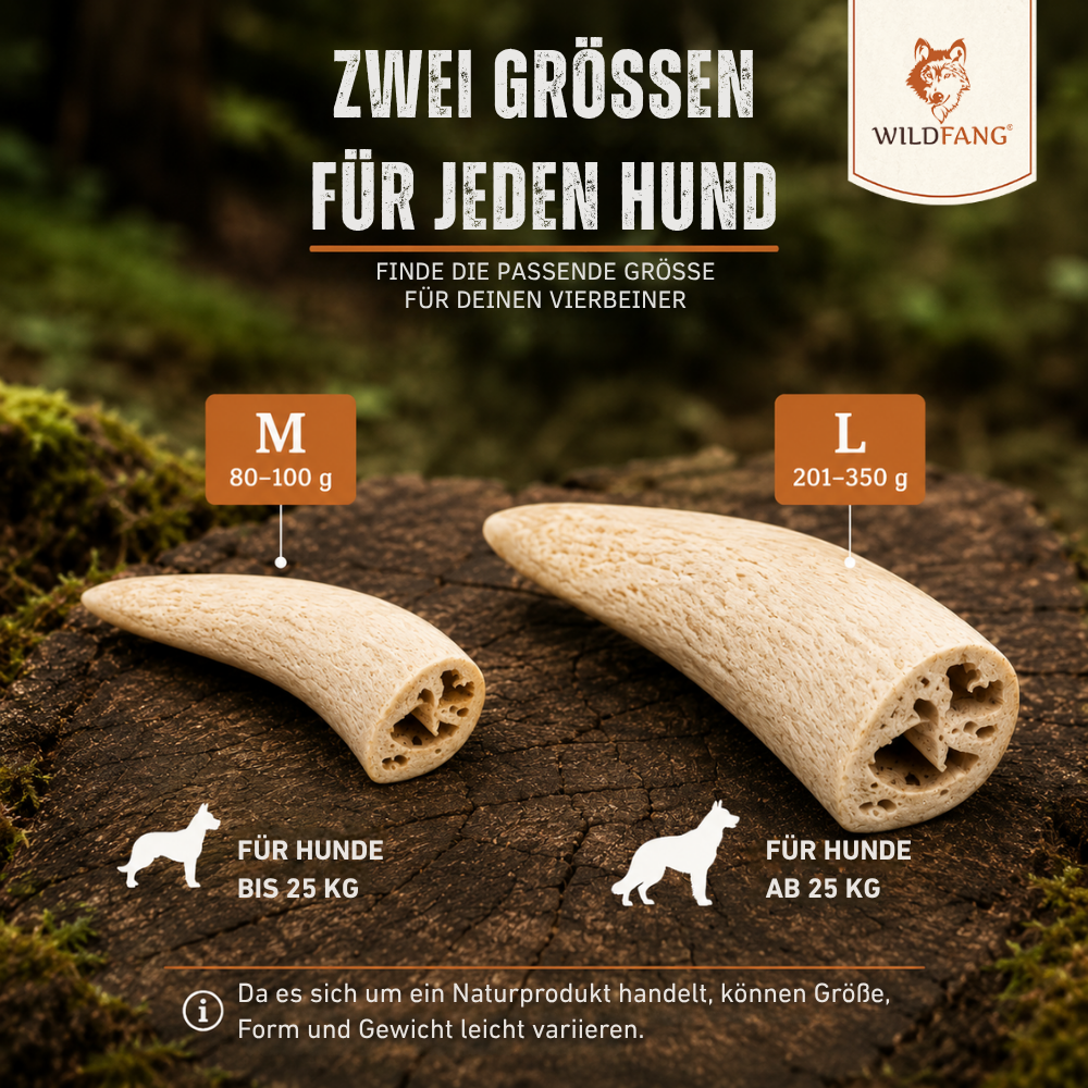 Hornkern vom Rind-Hundebedarf-Wildfang Petcare GmbH-